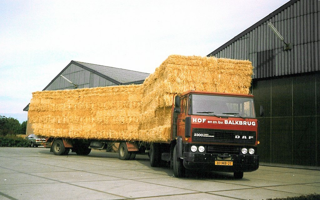 DAF 2300 met stro