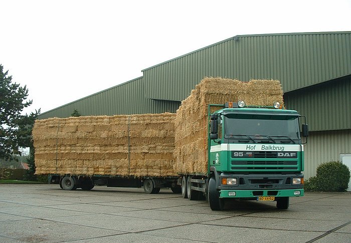 DAF 95.400 met pickup baaltjes stro