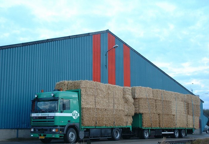 DAF 95.360 met grote balen in Noord-Holland