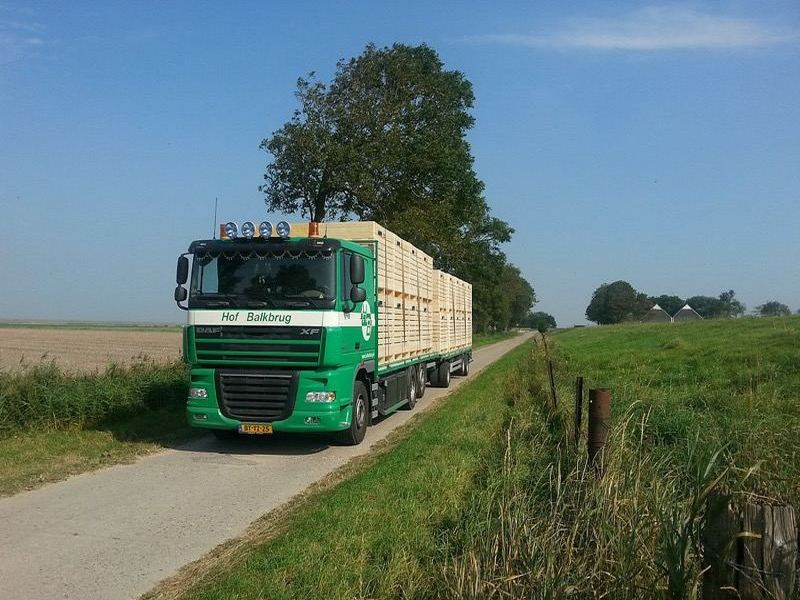 DAF vrachtwagen van Hof Balkbrug op Nederlandse plattelandsweg met aardappelkisten